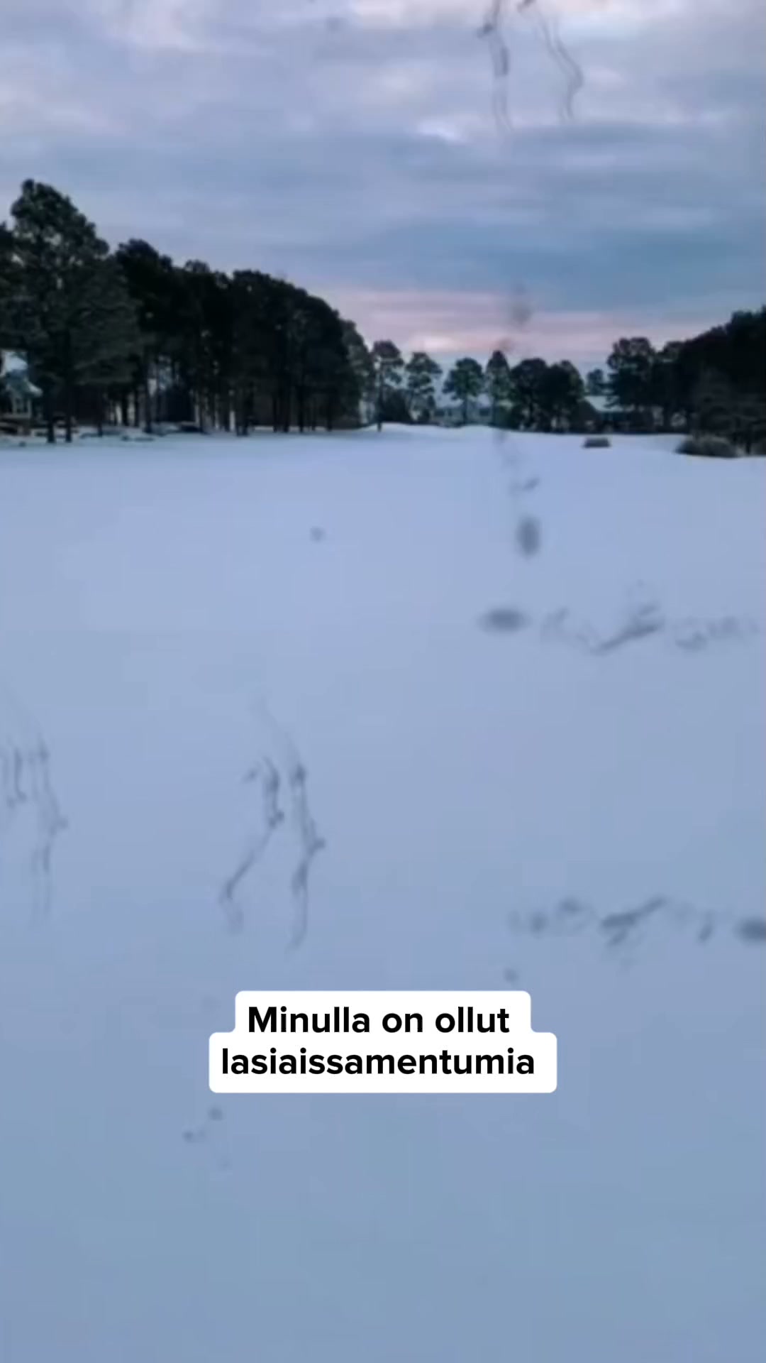Kokeile riskittä