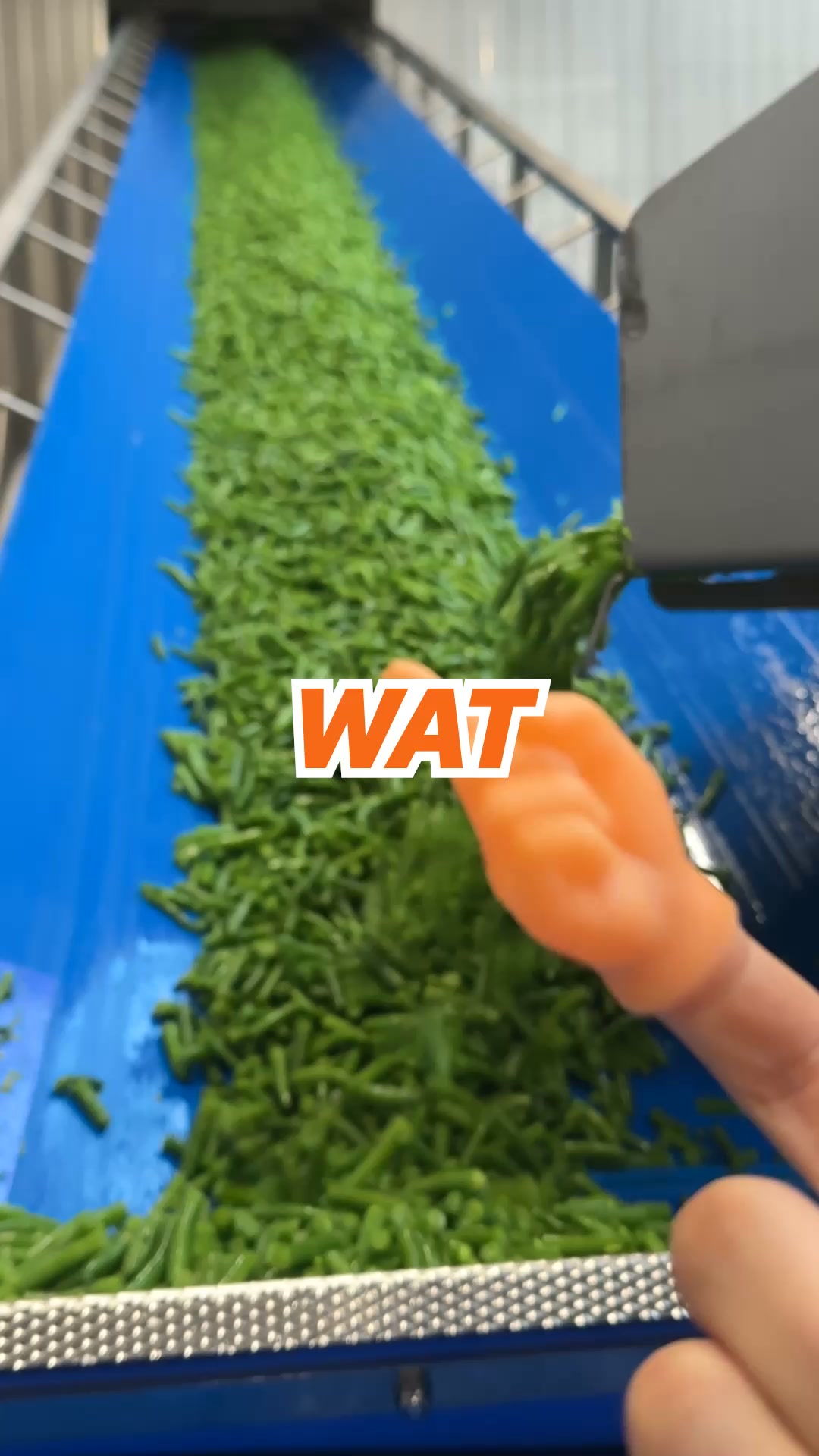 Wees er snel bij & profiteer!