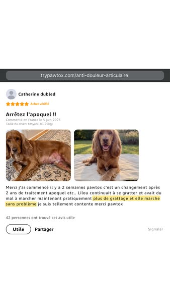 Voici ce que disent les propriétaires dont le chien souffrait des pattes arrière.