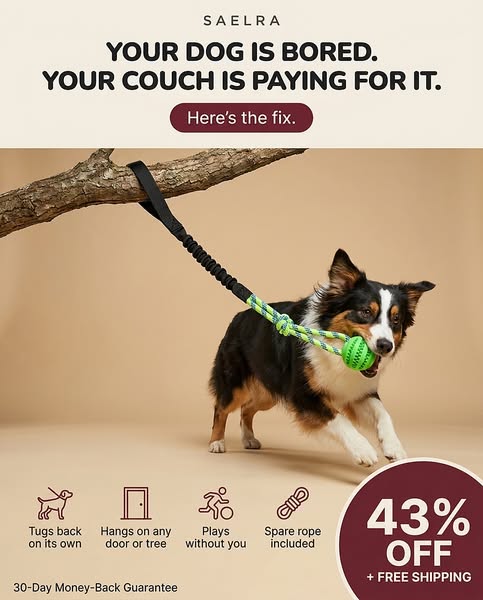Let Him Tug. You Sit Down.