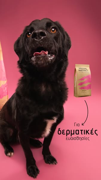 Ανακάλυψέ την εδώ