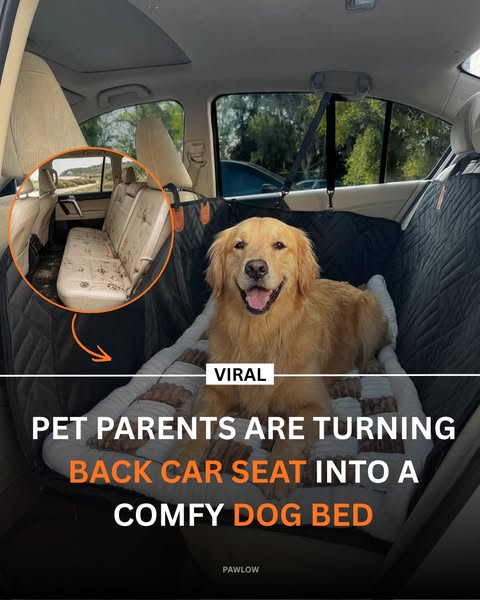 Pawlow Hard Bottom Seat Cover