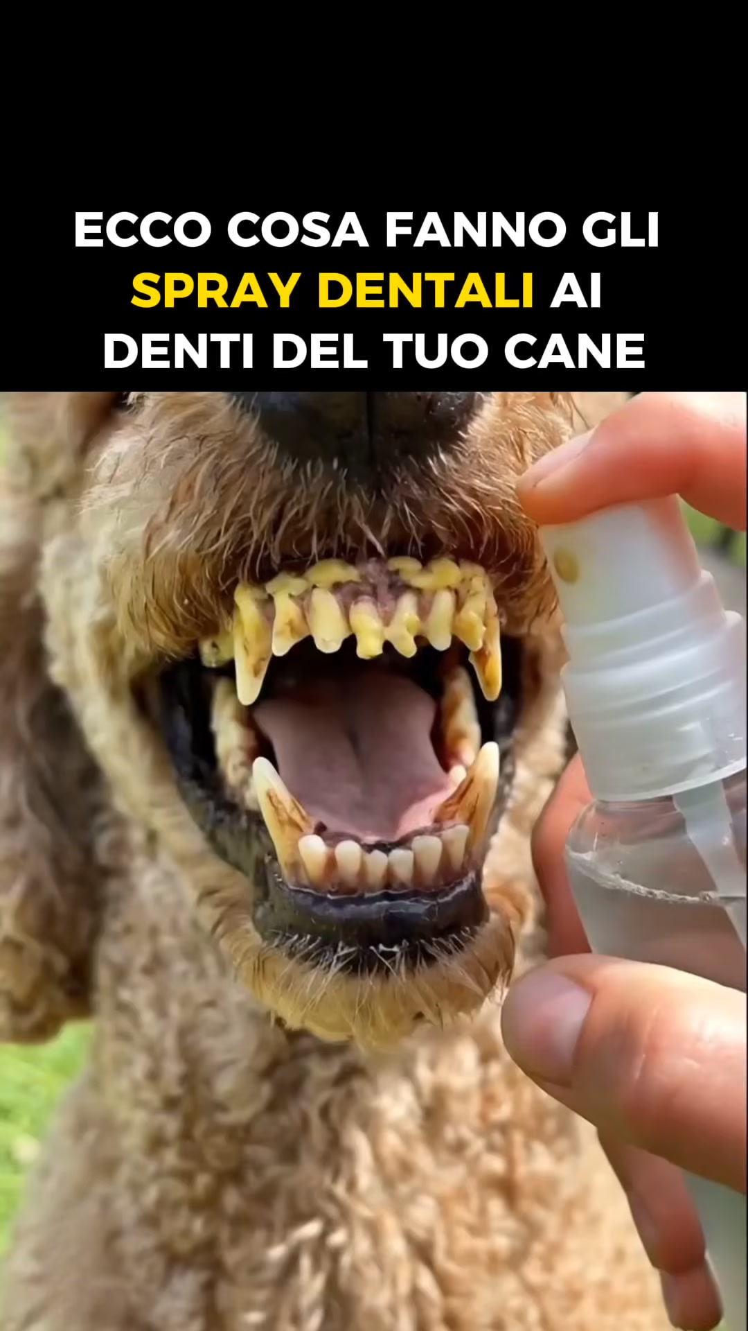 Finalmente — un metodo che funziona