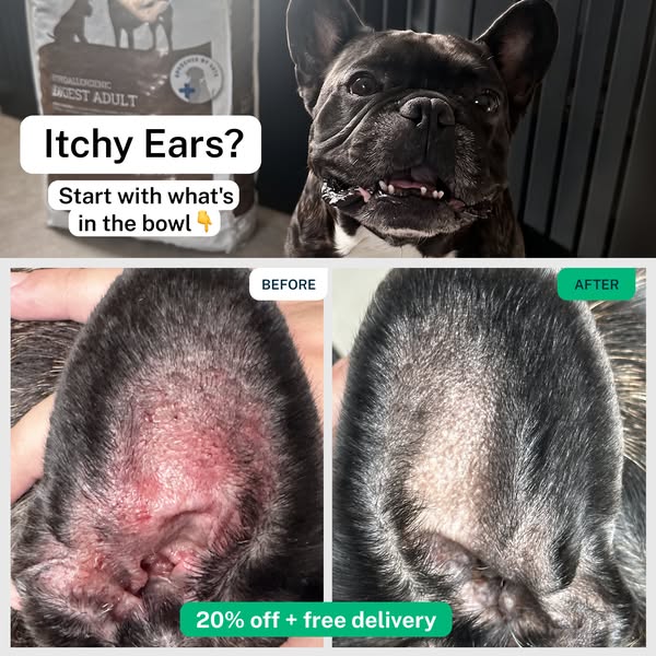 Get 20% off - use code HELLO20
