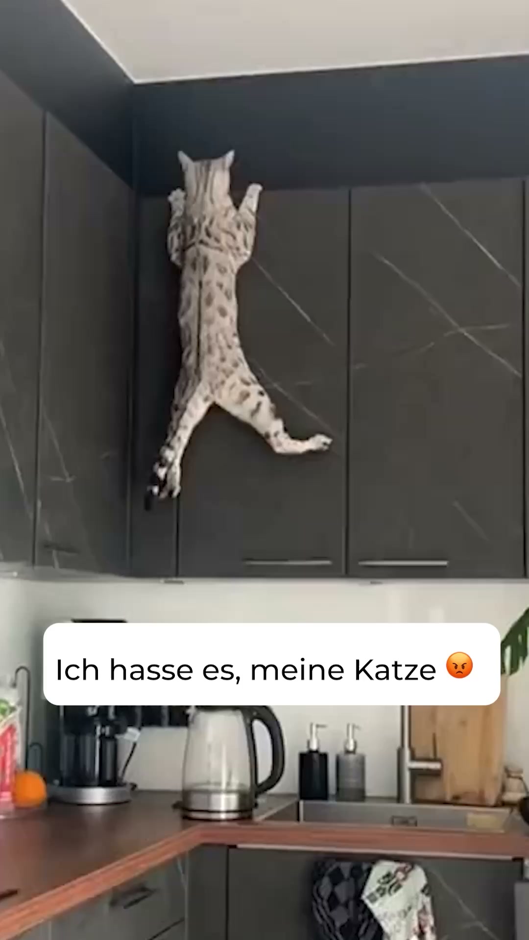 1+1 Neukunden Angebot