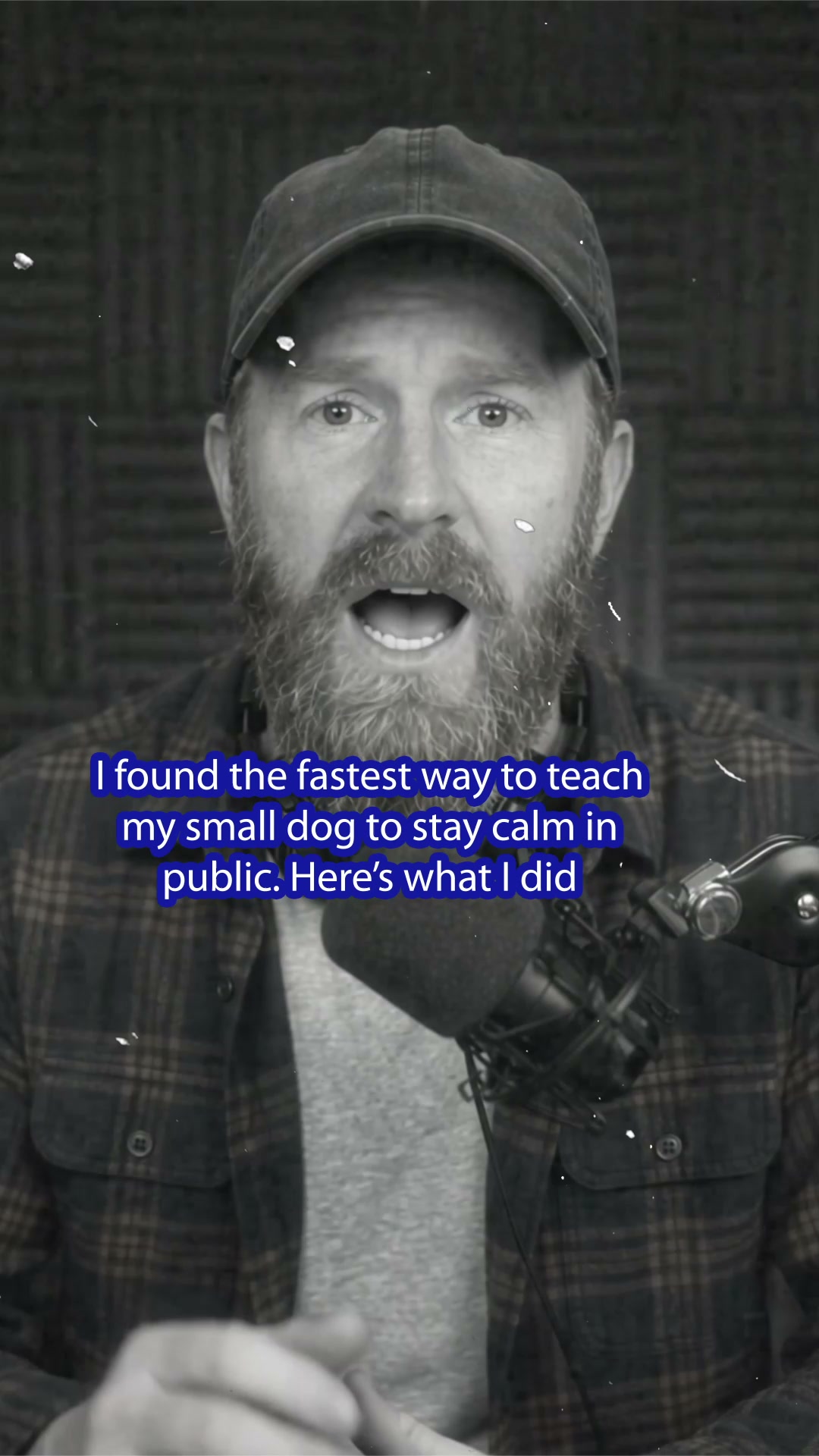 Start Small Dog Manners Routine ▶