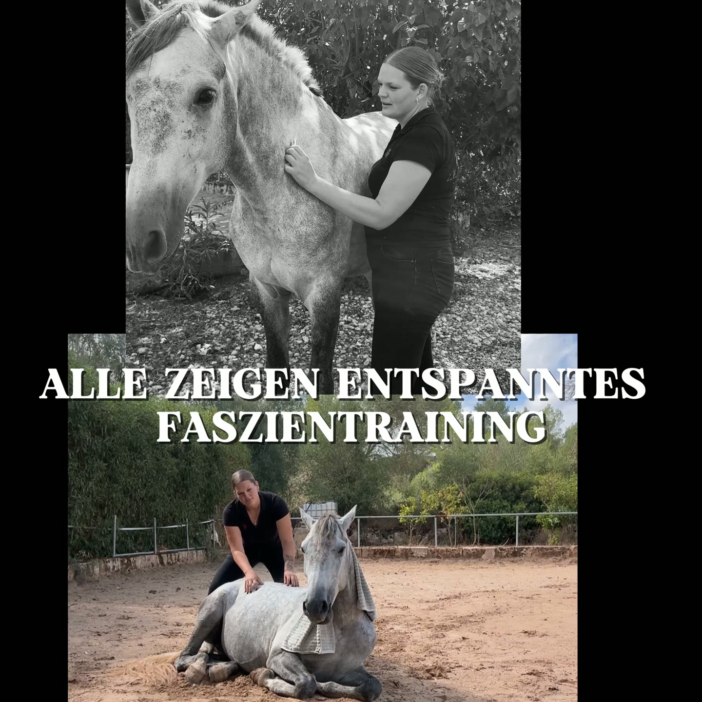 Abwehr erkennen. Angemessen reagieren.
