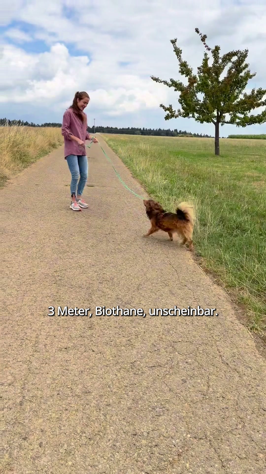 Jetzt Leine sichern!