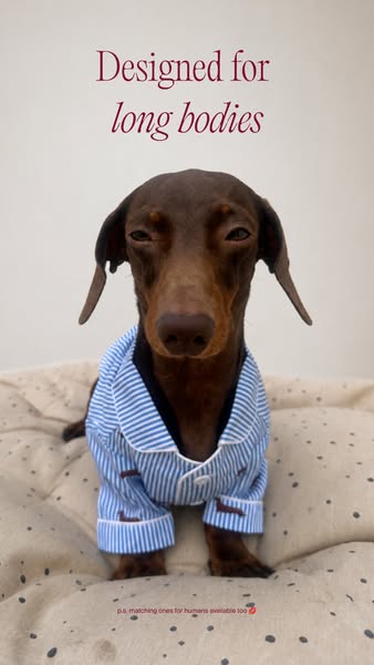 Tailored for dachshunds and their owners