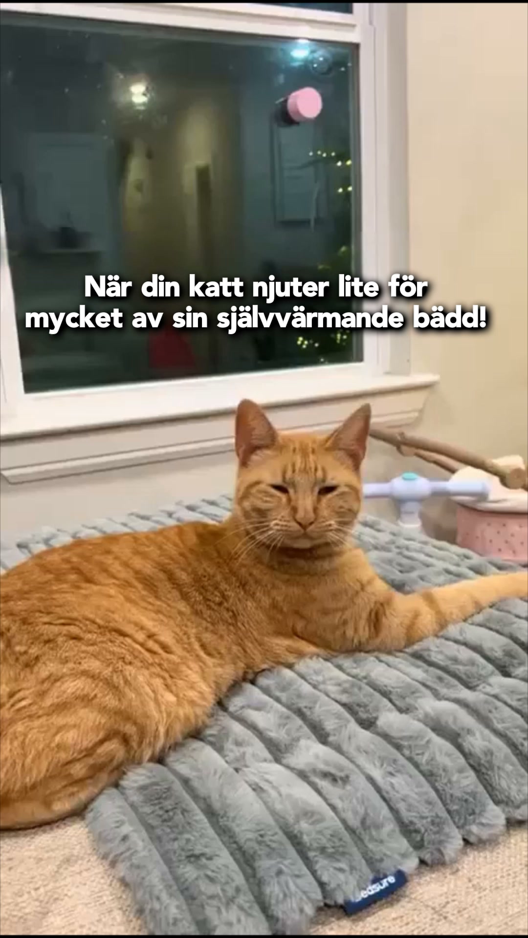 #1 Självuppvärmande Djurmatta