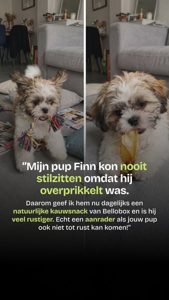 Ontdek de snackbox voor jouw puppy