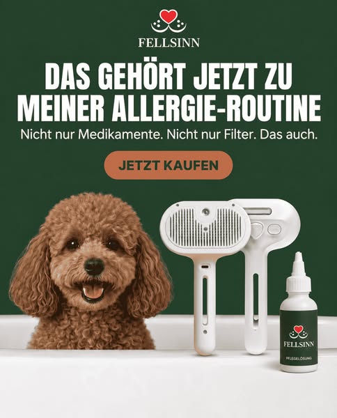 Nebelbürste™ | 50 % Rabatt