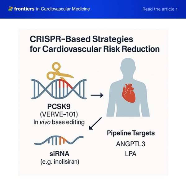 The Future of Personalised Cardiology
