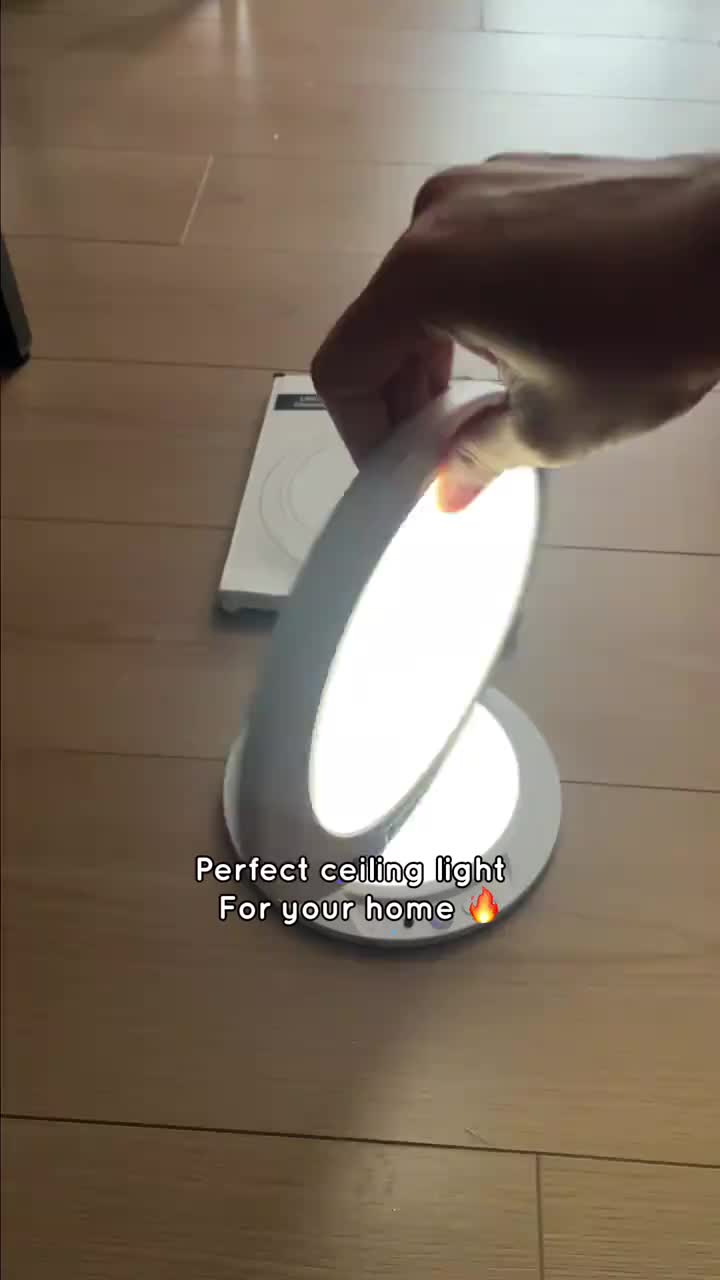 Rechargeable Ceiling Light With Remote