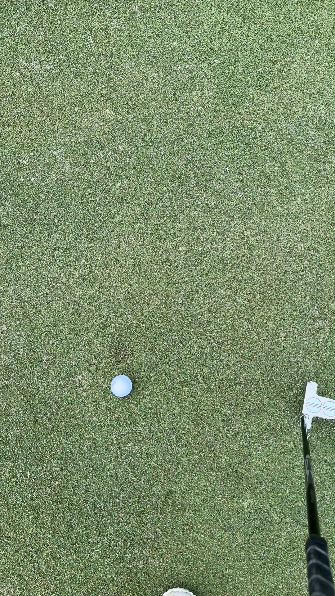 Ball Marker With Built-In Level