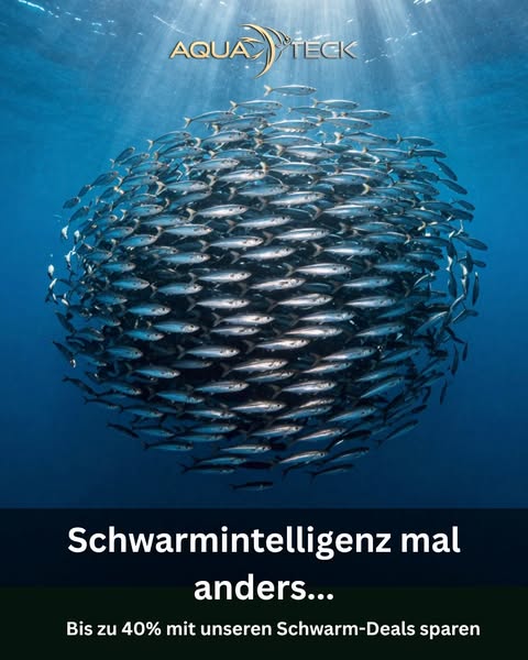 Highlights & Sonderangebote