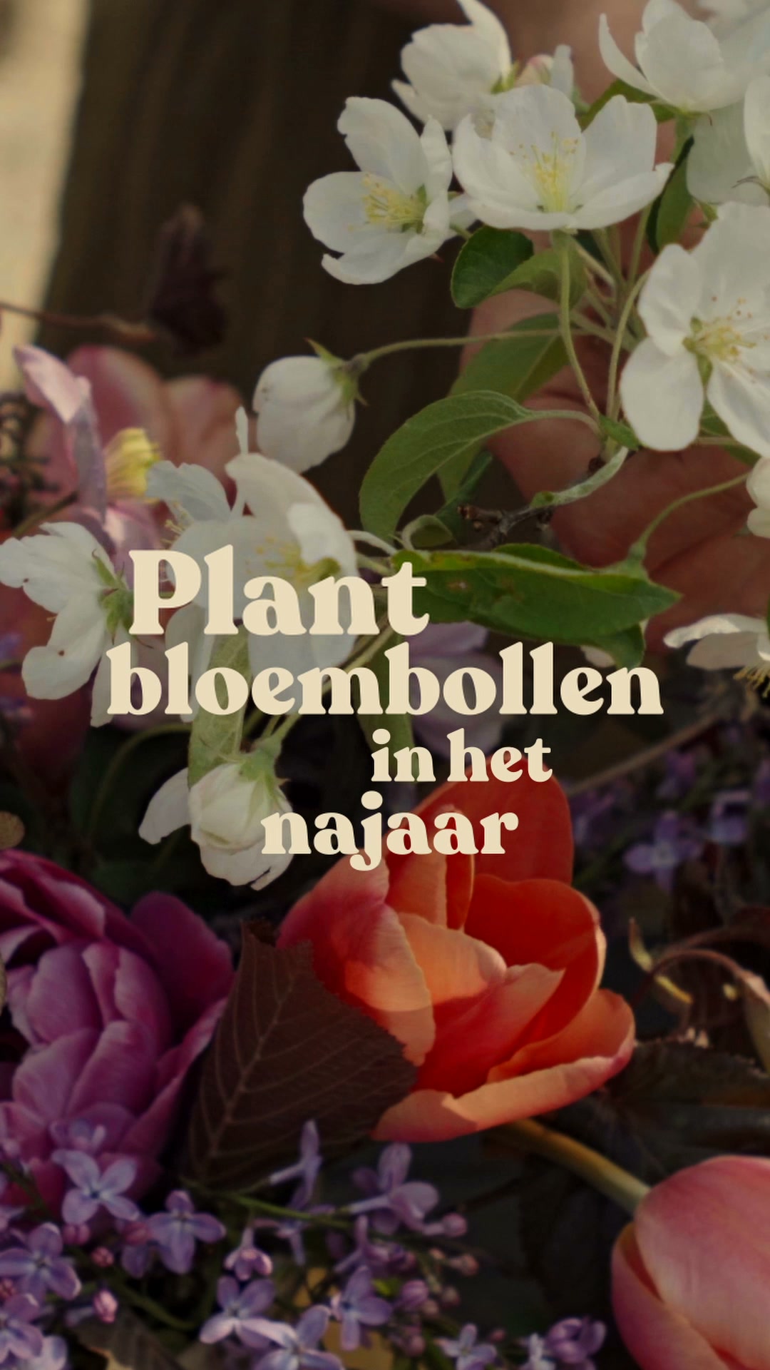 Maak nu je selectie