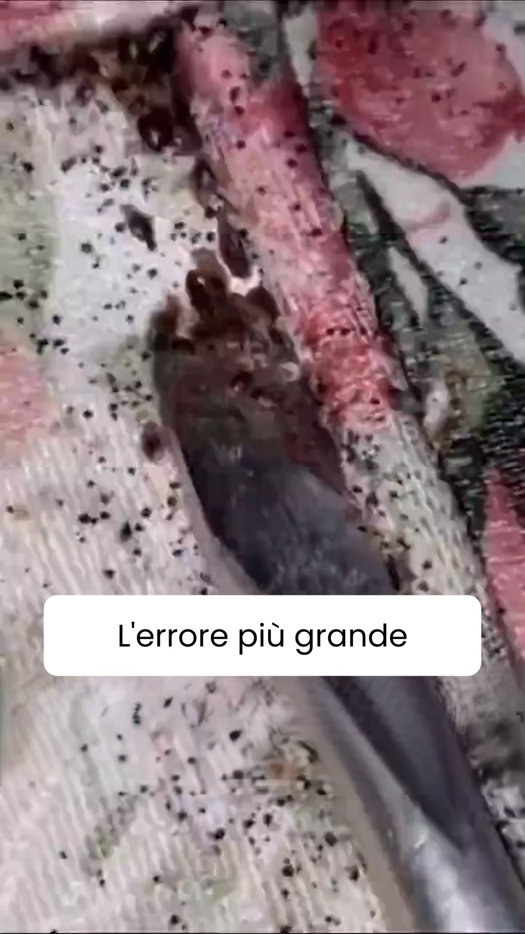 L'errore più grande di chi trova le cimici dei letti
