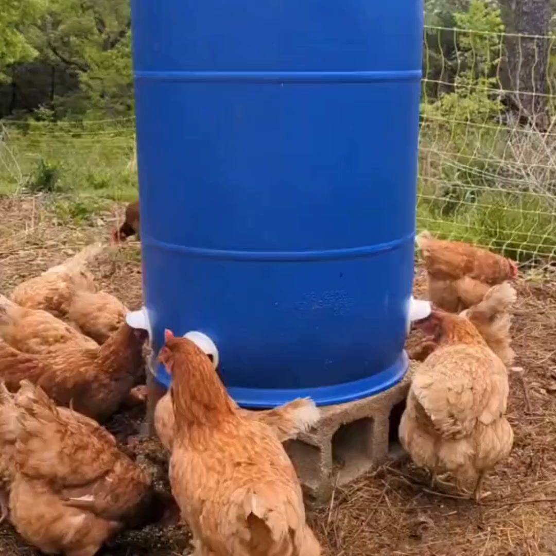 Stop Feeding the Mess — Feed the Flock
