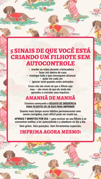 O plano nº1 para você e seu cão