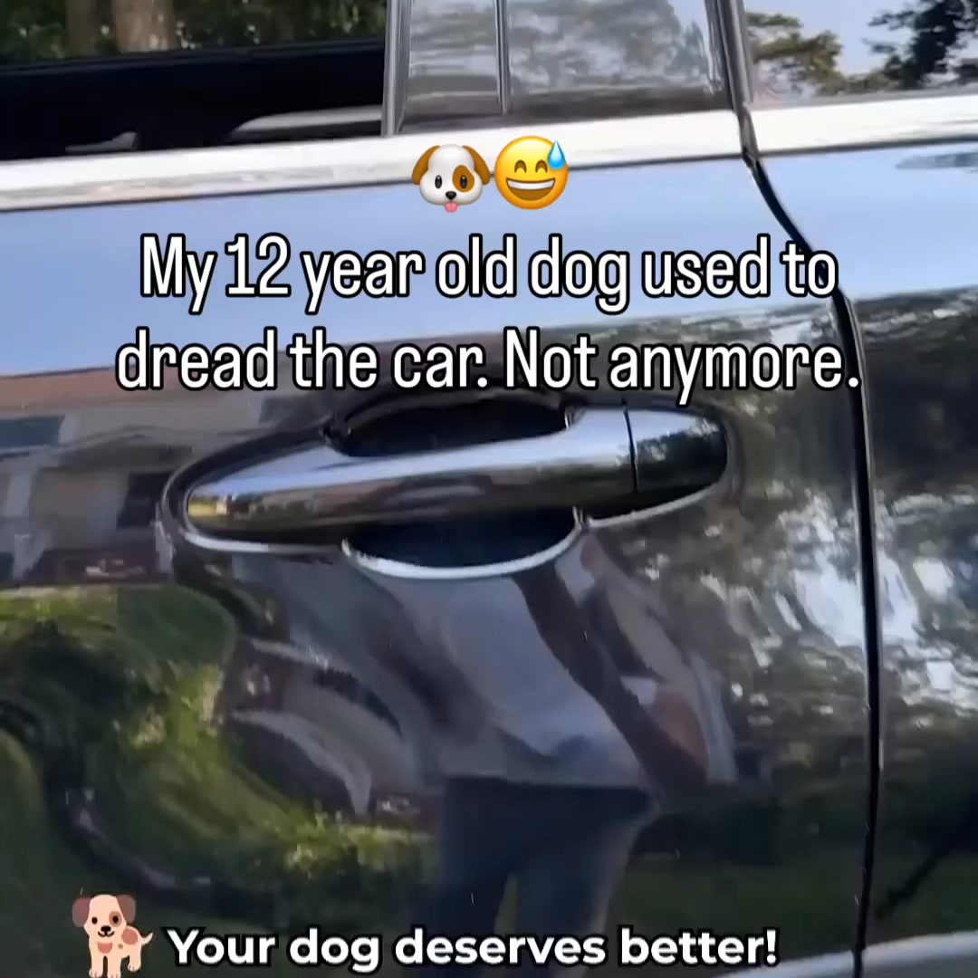 Safe & Comfy Rides in 1 Easy Step