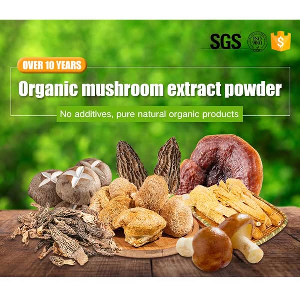 Mushroom Complex Powder