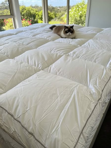 Red je matras voor €99,95 (in plaats van een nieuw bed)