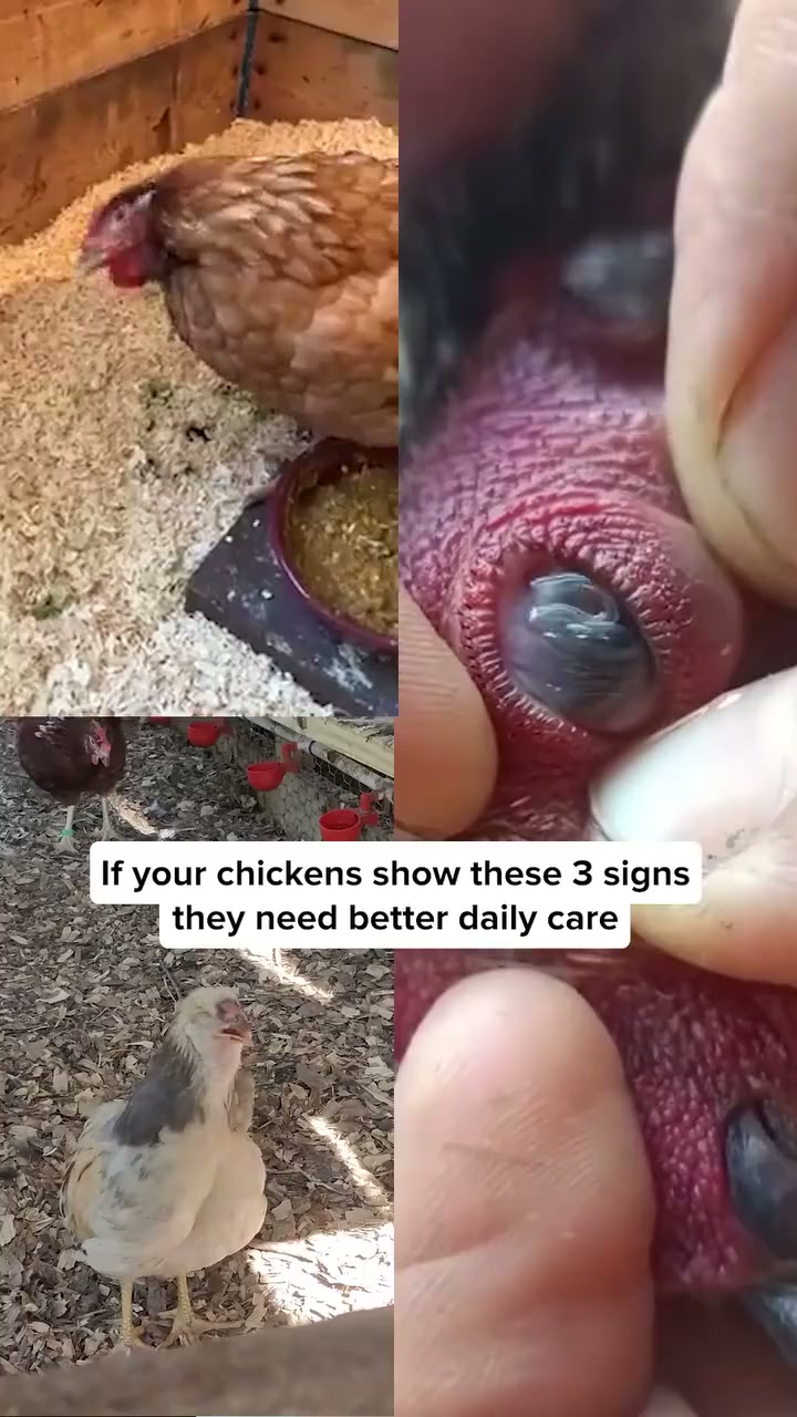 Buy 2 Get 1 Free