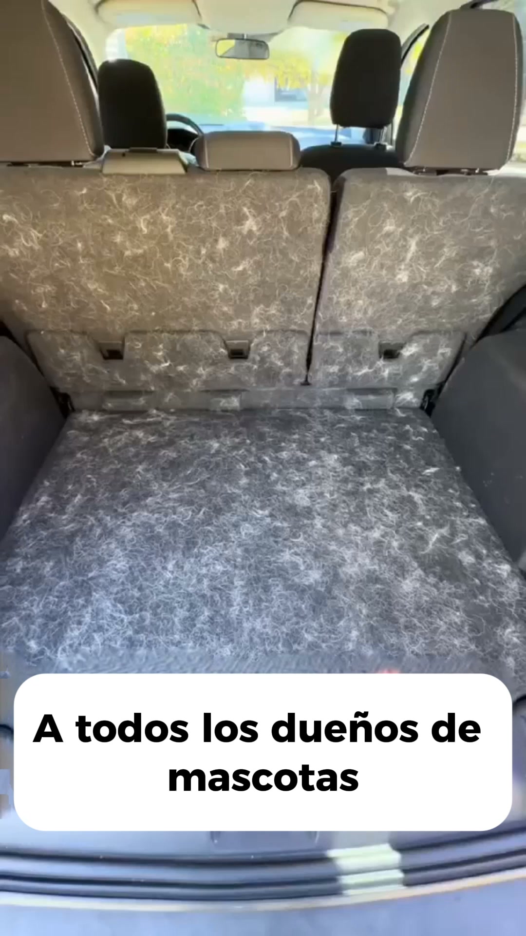 ¡1+1 Gratis solo hoy!