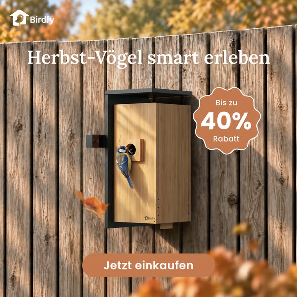 Füttere die Reise. Erlebe das Wunder. Spare bis zu 40 %.
