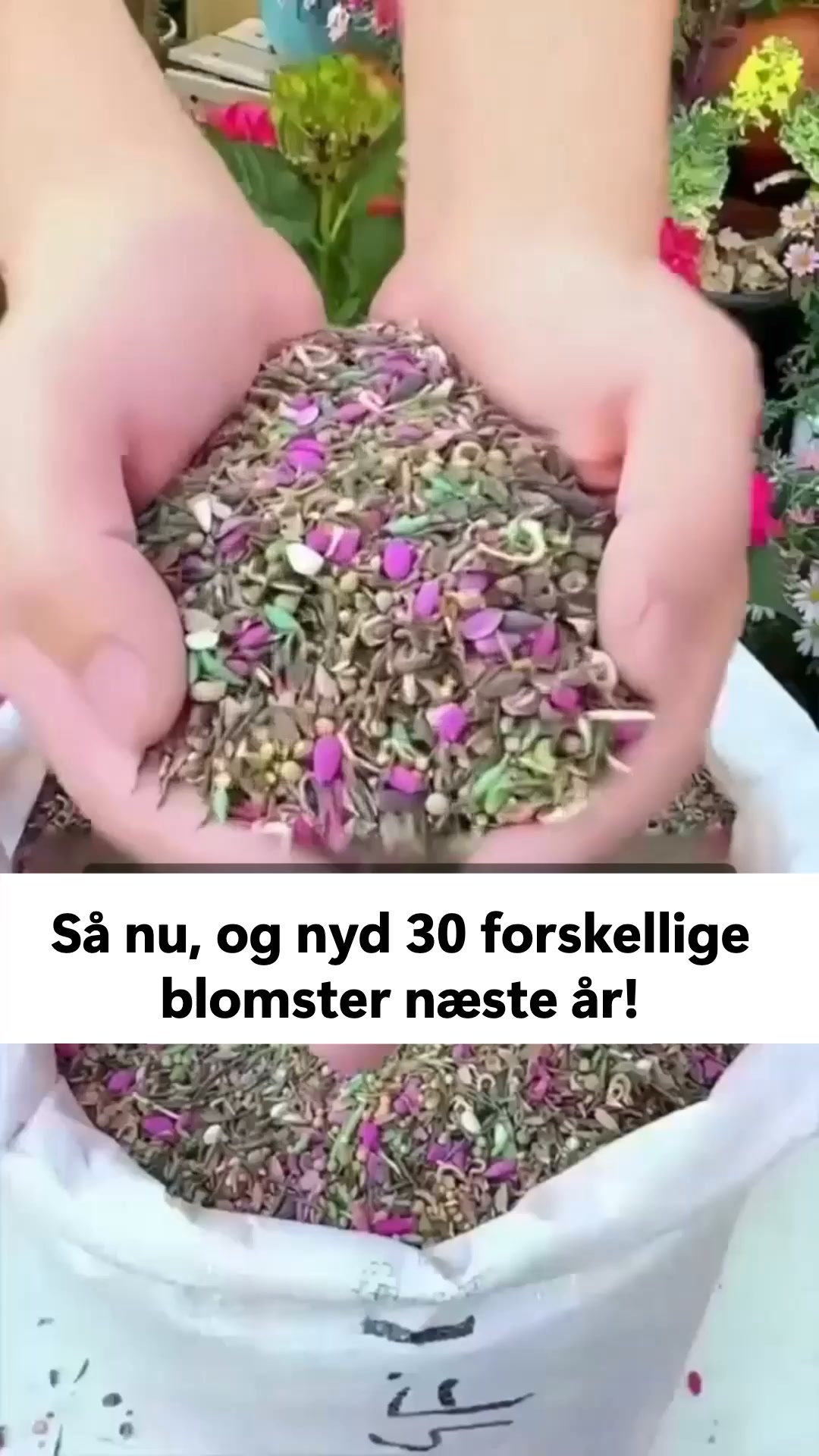 50% RABAT lige nu