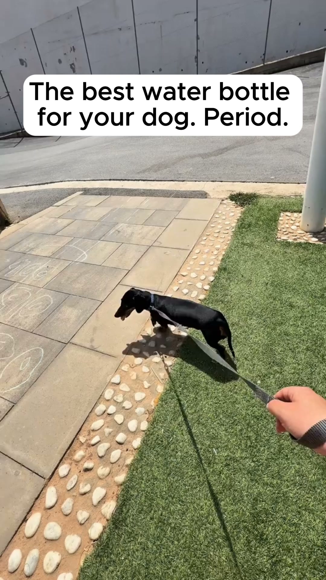 Water for your dog — clipped to your wrist, ready in 3 seconds.