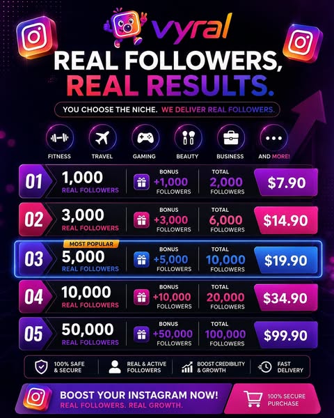 Vyral — Real Instagram Followers in 24h