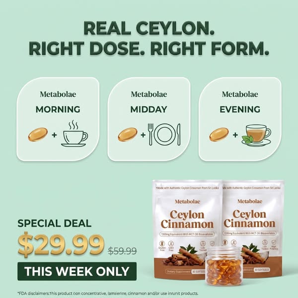 Ceylon Cinnamon 7200mg Equivalent with MCT Oil