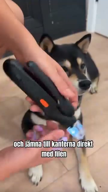 Gör kloklippning tryggt, snabbt och enkelt.
