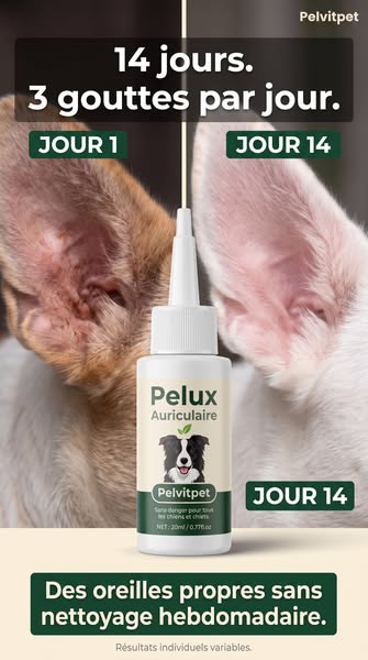 14 jours, 3 gouttes par jour