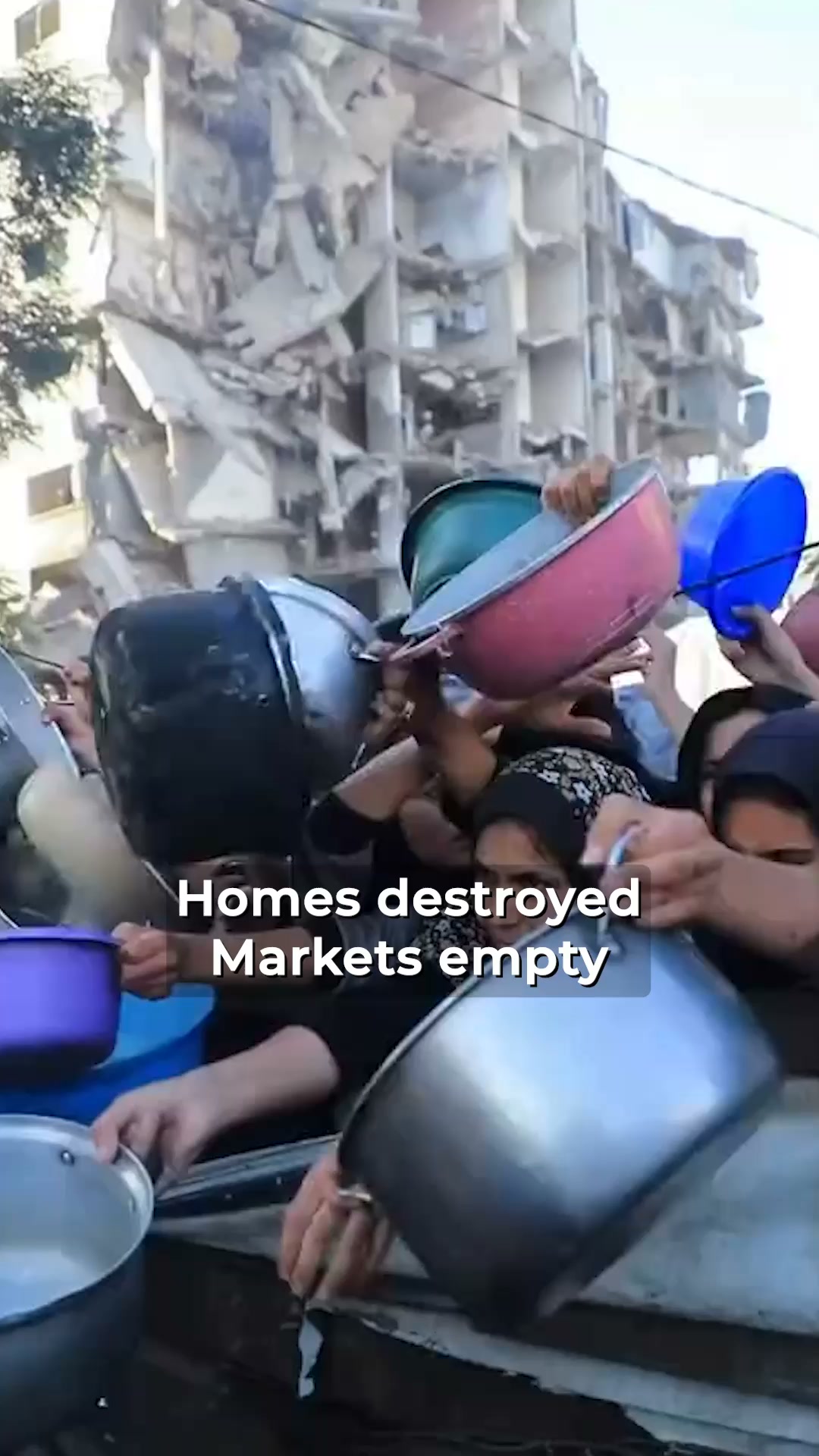 Feed A Family In Gaza For £50