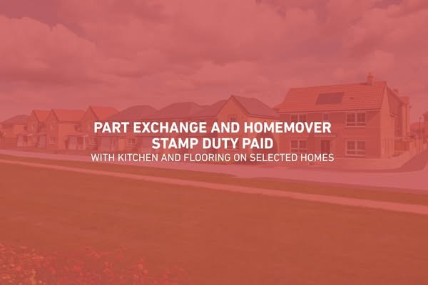 Request more information