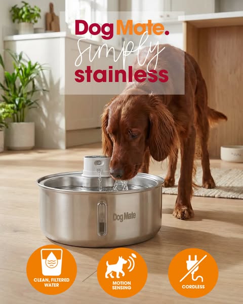 8Ltr Stainless Dog Water Fountain