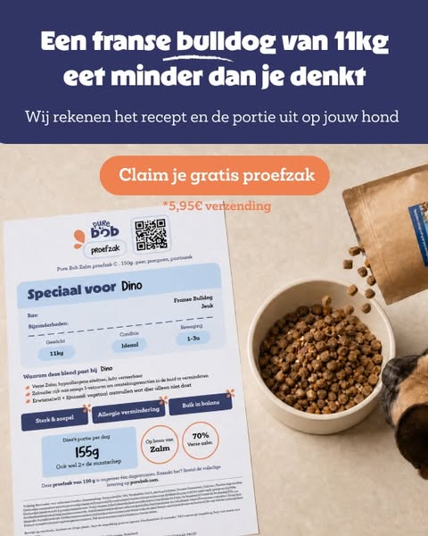 Hoe 2 Belgen hondenvoeding maken