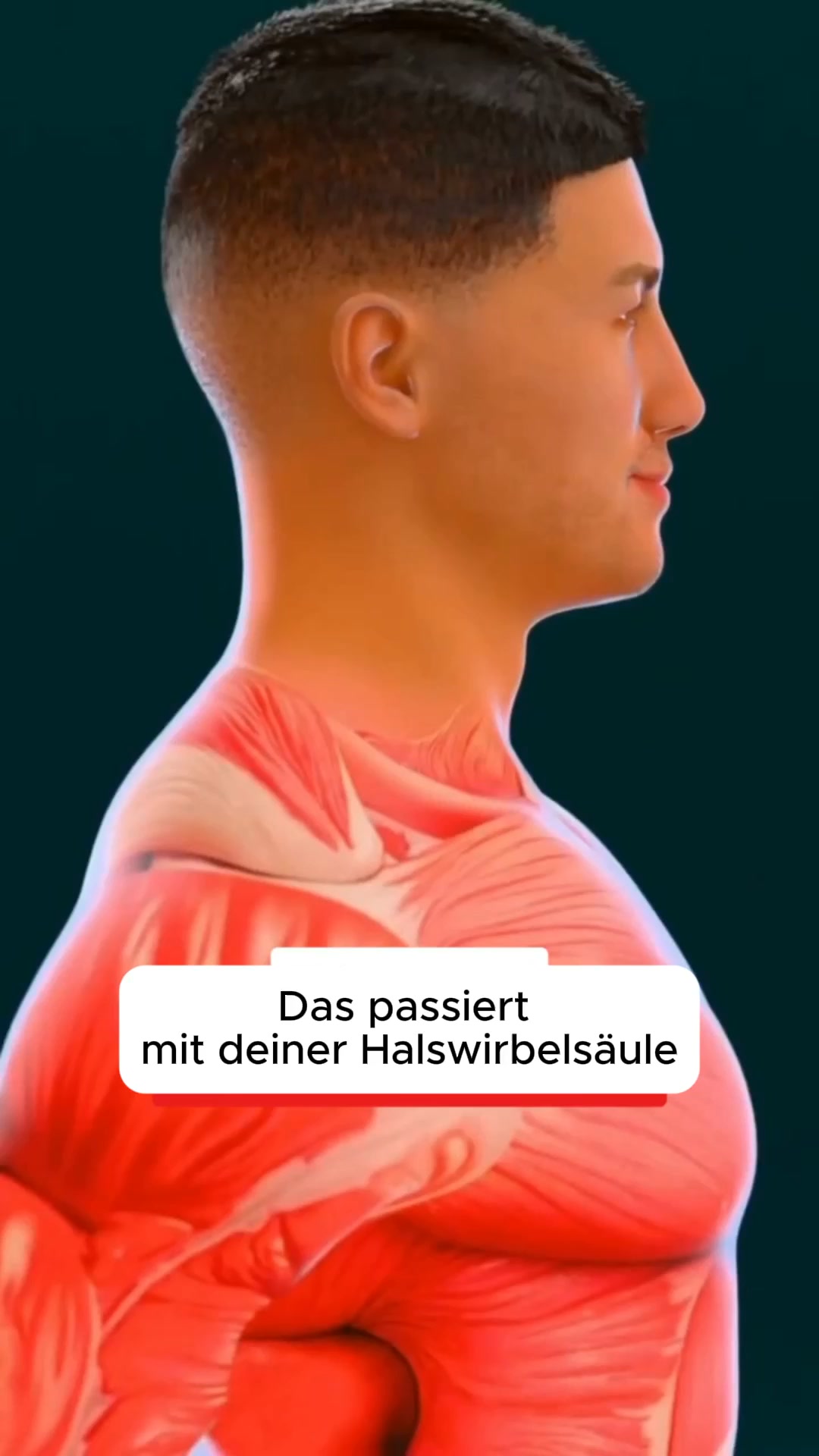 Schluss mit dem Verspannungs-Kreislauf