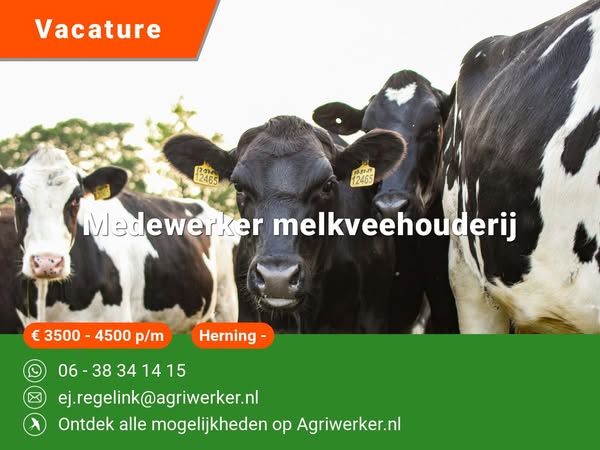 Medewerker melkveehouderij | Agriwerker.nl