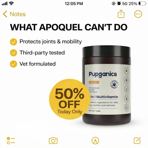 Last Chance — 50% OFF Tonight Only