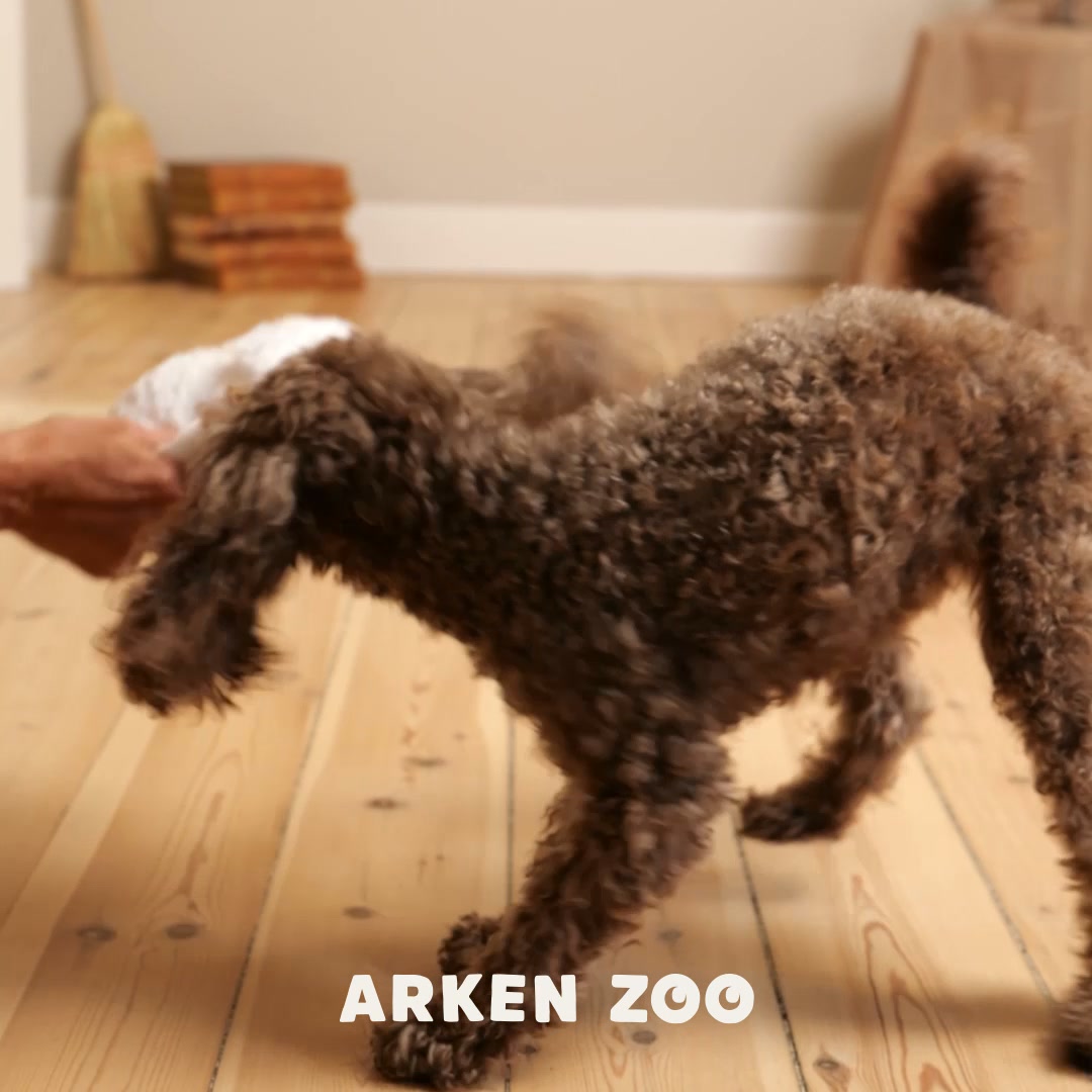 Halloween hos Arken Zoo!