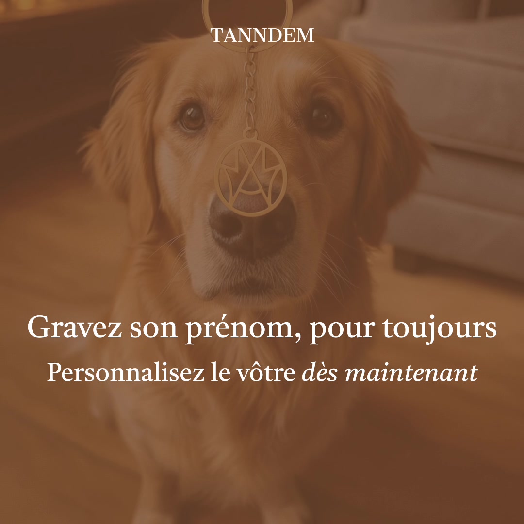Votre compagnon à quatre pattes, près de votre cœur
