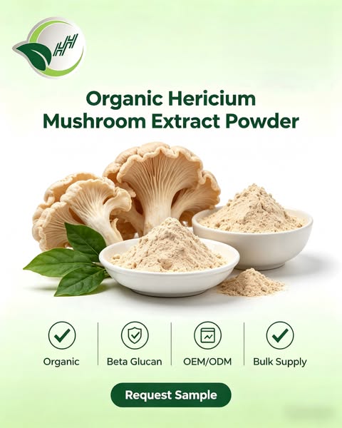 Organic Lion’s Mane Extract Powder