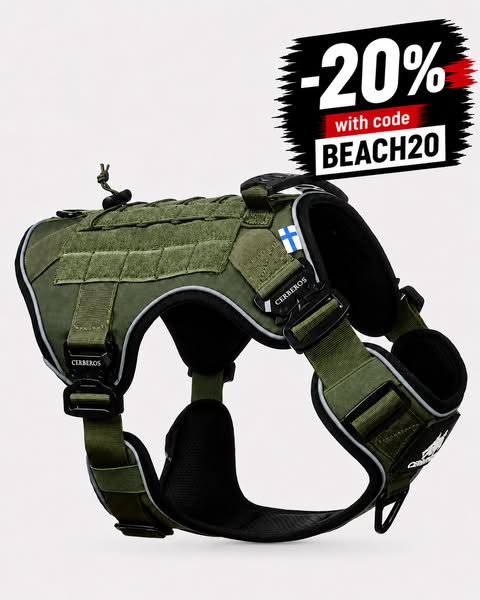 20% With Code BEACH20