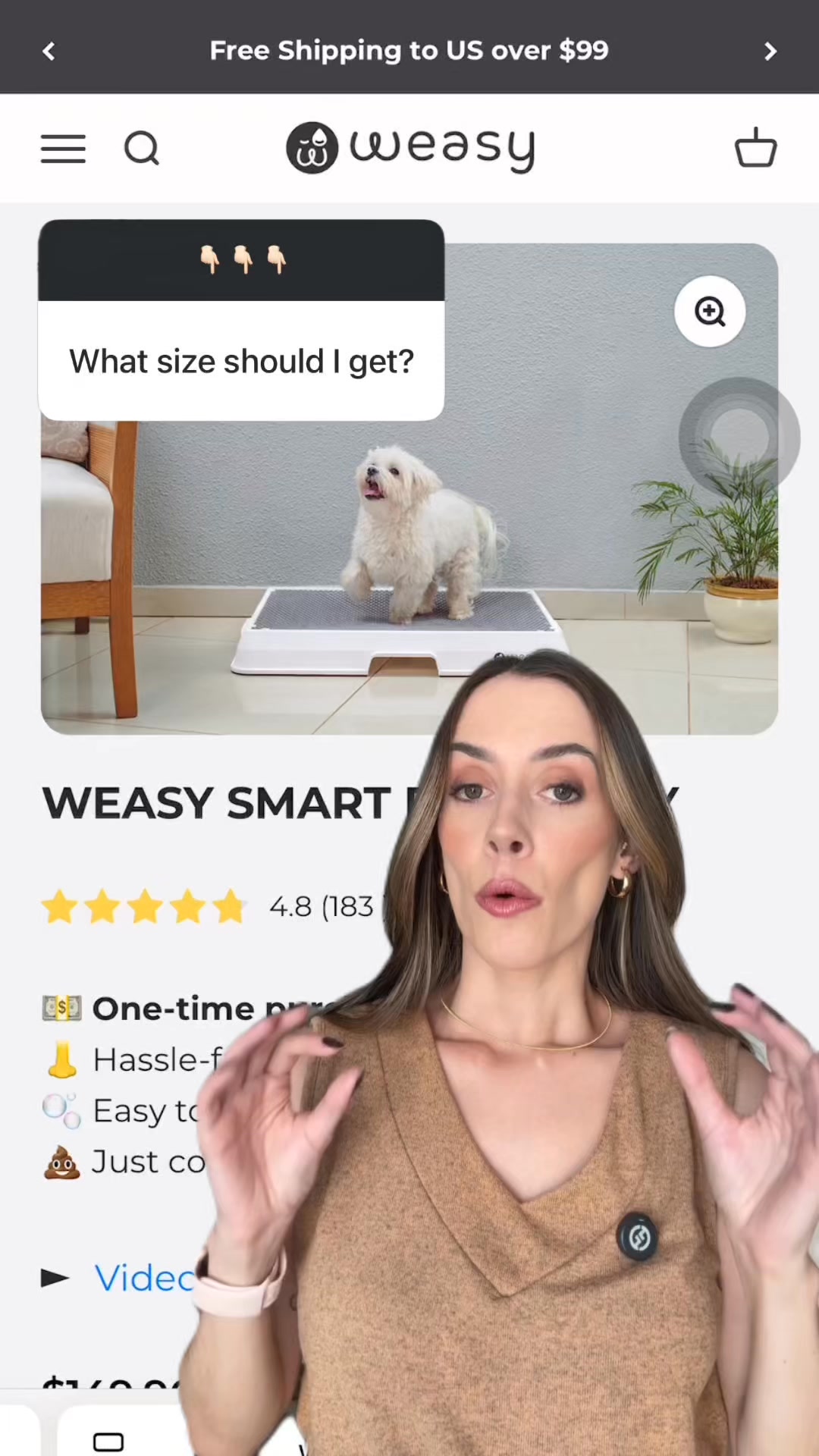 Free Shipping and Fast Delivery