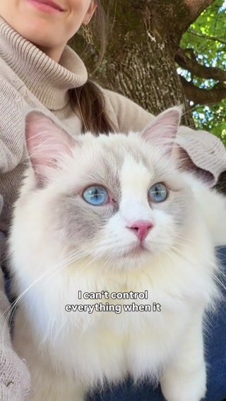The #1 Vet Recommended Cat Fountain