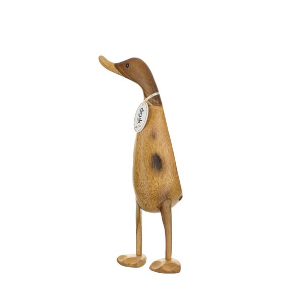 Natural Ducklet Pose 1